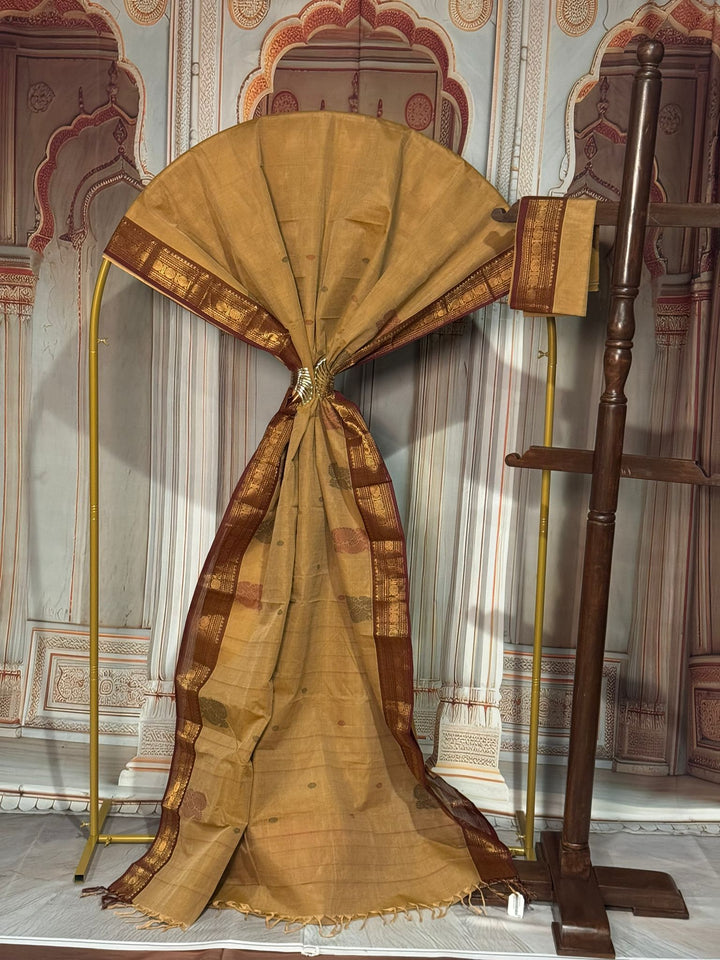 Handloom Cotton Saree with Contrast Border [12057]