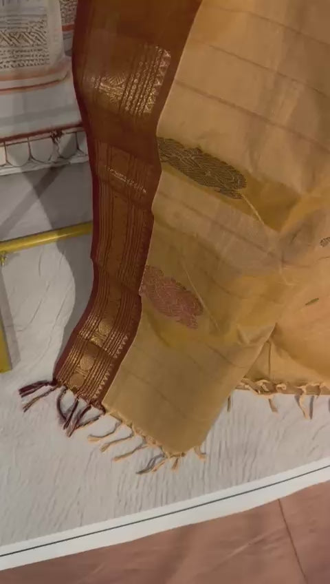 Handloom Cotton Saree with Contrast Border [12057]