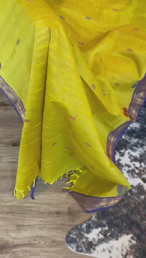 Handloom Cotton Saree with Contrast Border [12057]